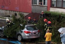 Update. Brașov, intervenții după furtună: copaci căzuți peste mașini și pe carosabil, garaje inundate 4 | MyTex.ro