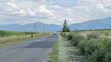 Drumurile | MyTex.ro
