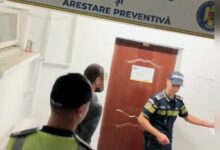 | MyTex.ro