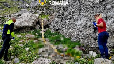 BRAȘOV. Trupul tânărului britanic dispărut în Bucegi în 2025, găsit în Valea Ciubotea 5 | MyTex.ro