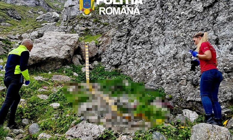 Salvamont Brașov, precizări după găsirea trupului tânărului britanic dispărut în Munții Bucegi 3 Salvamont | MyTex.ro