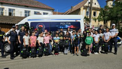 brașov | MyTex.ro