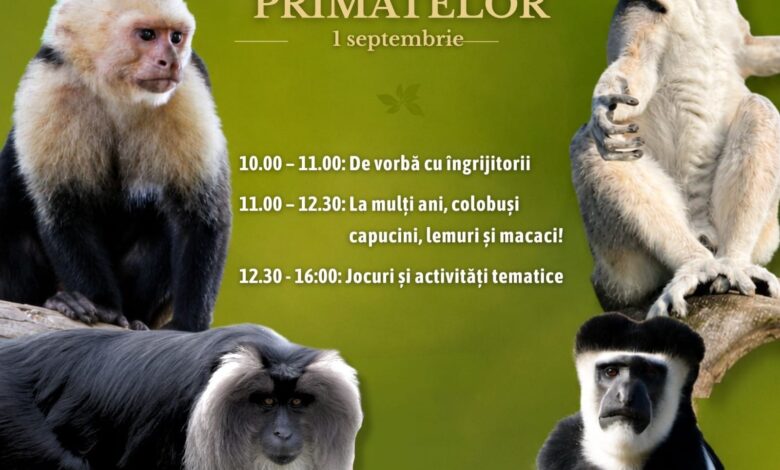 Zoo | MyTex.ro