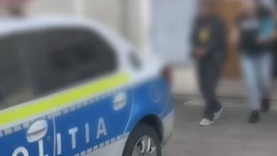 Tâlhărie | MyTex.ro