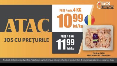 Șofer | MyTex.ro