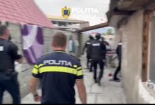 BRAȘOV. Percheziții la persoane care ar fi furat de pe câmp, la Bod (VIDEO) 3 | MyTex.ro