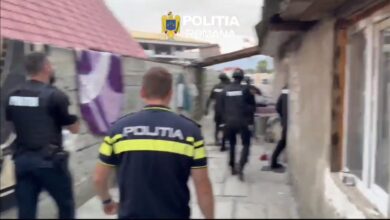Șofer | MyTex.ro