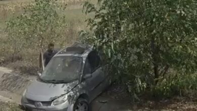 Bărbatul | MyTex.ro
