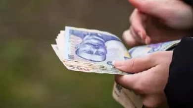 Camătă | MyTex.ro