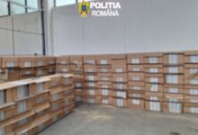 Peste 3,3 milioane de țigări, descoperite în două vehicule. Marfa era ascunsă printre pește congelat și încălțăminte 8 | MyTex.ro