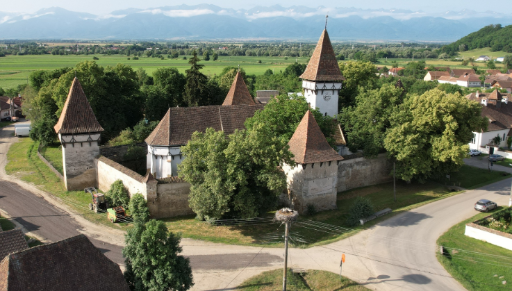 Cincșor | MyTex.ro