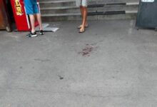 BRAȘOV. Protest la Lacul Noua după moartea cățelușei atacate de un Malinois. Manifestația are loc vineri 10 Ursoaică | MyTex.ro