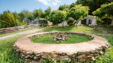 braşov | MyTex.ro