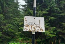 Salvamont Brașov, apel către turiști: Nu transformați marcajele montane în „pânze de pictură” 3 | MyTex.ro
