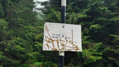 Salvamont Brașov, apel către turiști: Nu transformați marcajele montane în „pânze de pictură” 13 | MyTex.ro