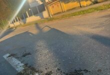 | MyTex.ro