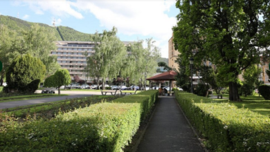braşov | MyTex.ro