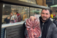 Incredibil, dar adevărat! Omul cu localurile închise de ANPC vine să facă ordine și în bucătăriile din Brașov! 5 Andreea | MyTex.ro