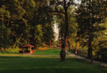 Asta nu s-a mai văzut la Râșnov! Rețeta secretă a bunicilor transformă orașul într-un paradis gastronomic timp de patru zile 5 festivalul | MyTex.ro