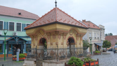 Troițe | MyTex.ro