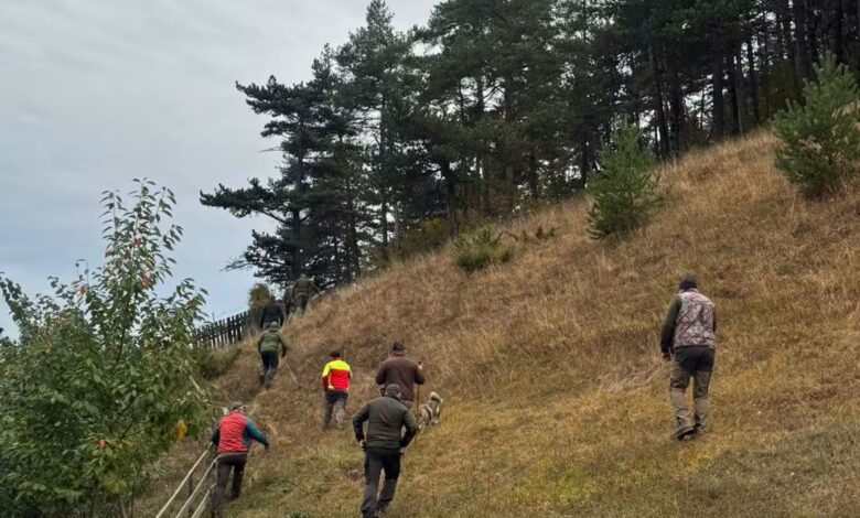 BRAȘOV | Ursoaică cu doi pui, ajunsă în gospodăria unui râșnovean. Gardul electric de 9 km a devenit inutil din cauza unei porți lăsate deschise... 3 Ursoaică | MyTex.ro