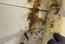 FOTO | ANPC, controale la nivel național: Amenzi de peste 4,2 milioane de lei și produse neconforme oprite de la vânzare 3 | MyTex.ro