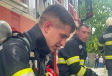 Polițiștii | MyTex.ro