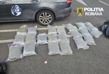 DIICOT Brașov: Prins în flagrant cu 21 de kilograme de canabis. „Marfa" urma să fie vândută cu 70.000 de euro (VIDEO) 5 Un bărbat | MyTex.ro