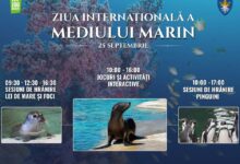 Ziua Internațională a Mediului Marin, sărbătorită la Zoo Brașov 4 Și brașovenii vor putea vedea direct pe telefon ce fel de aer inspiră | MyTex.ro