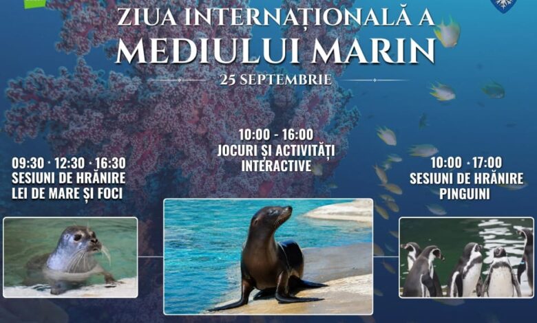 Ziua Internațională a Mediului Marin, sărbătorită la Zoo Brașov 3 Brașov | MyTex.ro