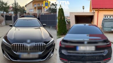 Ottley | MyTex.ro