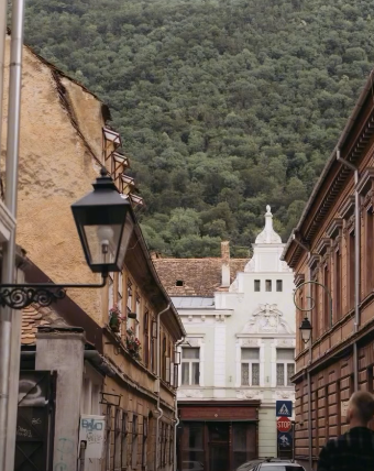 braşov | MyTex.ro