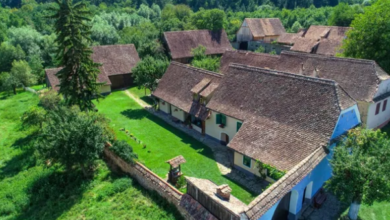 România | MyTex.ro