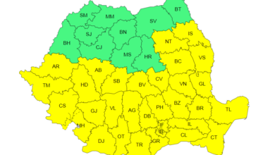 Braşov | MyTex.ro