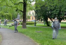 Operațiune masivă de dezinsecție la Brașov: Au început tratamentele împotriva țânțarilor, căpușelor și dăunătorilor 5 Brașov | MyTex.ro