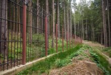 braşov | MyTex.ro