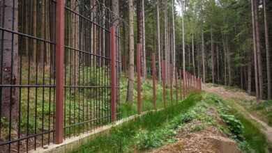 Investiție de 10 milioane de euro blocată în garduri: Sanctuarul pentru urși de la Timișul de Sus este gata în proporție de doar 17% 10 braşov | MyTex.ro