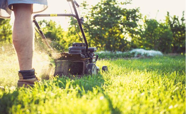 Curtea ta, pe mâinile tale - ce unelte schimbă cu adevărat regulile jocului 3 | MyTex.ro