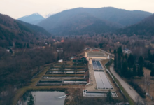 Invazia „americanilor” în apele Făgărașului! Cum au ajuns păstrăvăriile din Brașov să fie populate din elicopter și ce secret uriaș ascund de peste un secol 7 | MyTex.ro