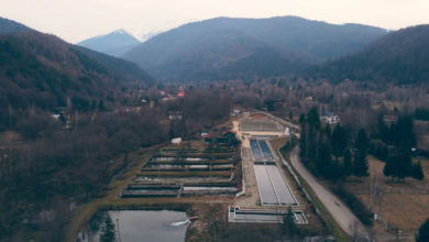 Făgăraș | MyTex.ro