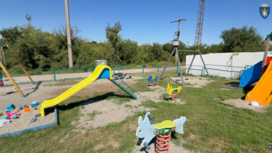 Lucrări de întreținere și igienizare în cartierul Timiş-Triaj 7 Lucrări