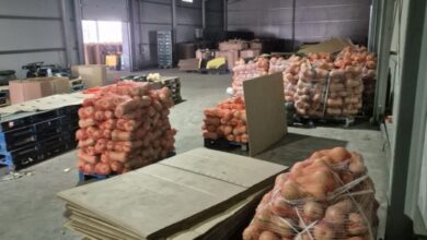 29 de percheziții în București și Ialomița într-un dosar de evaziune fiscală! 11 persoane, duse la audieri 5 | MyTex.ro