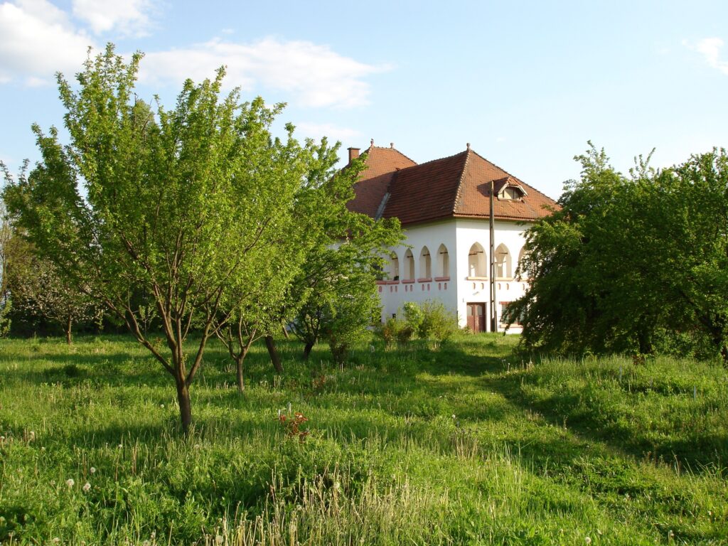 Oportunități de investiție în istorie: Proprietăți nobiliare și patrimoniu arhitectural de vânzare în România 6 România | MyTex.ro