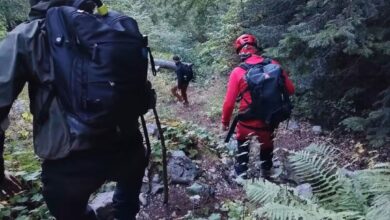 Zărnești | MyTex.ro