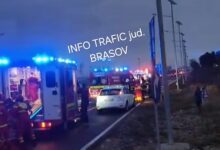 BRAȘOV | Accident pe Șoseaua Cristianului: Un șofer a lovit un cal aflat pe carosabil 5 Brașov | MyTex.ro