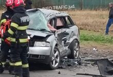 Șapte | MyTex.ro