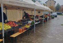 BRAȘOV | Piață volantă de producători în cartierul Noua! 5 Cabluri | MyTex.ro