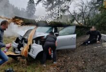BRAȘOV | Accident pe DN 1: Un autoturism a intrat într-un copac 3 | MyTex.ro