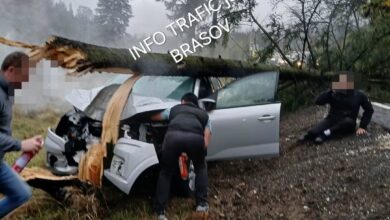 Turiștii | MyTex.ro