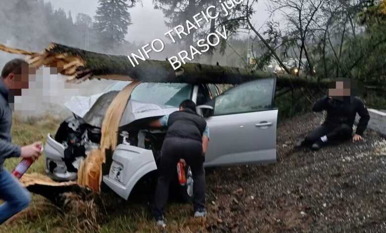 BRAȘOV | Accident pe DN 1: Un autoturism a intrat într-un copac 3 Accident | MyTex.ro
